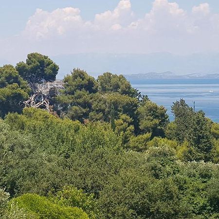 Ferienwohnung Mon Repos Panorama Corfu  Exterior foto